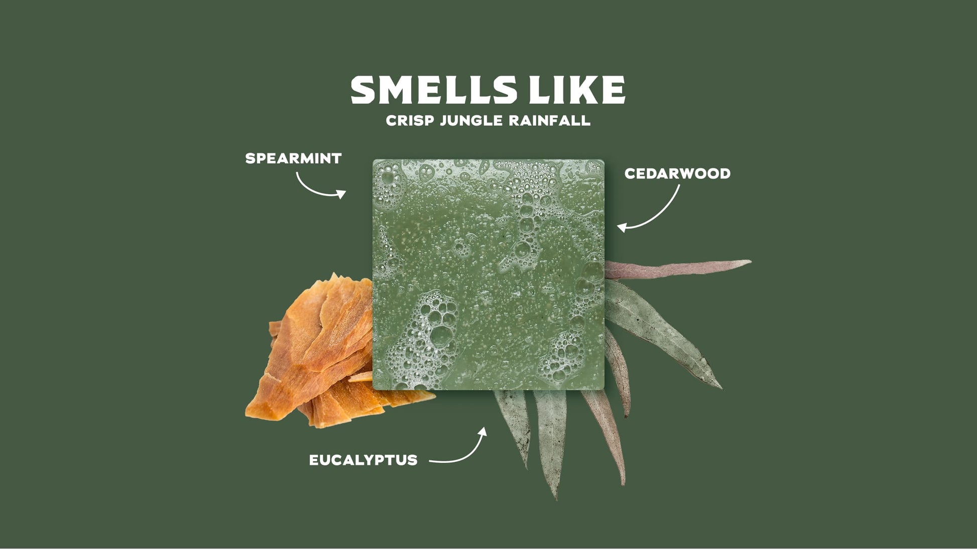 Sasquatch Cologne Gift Box